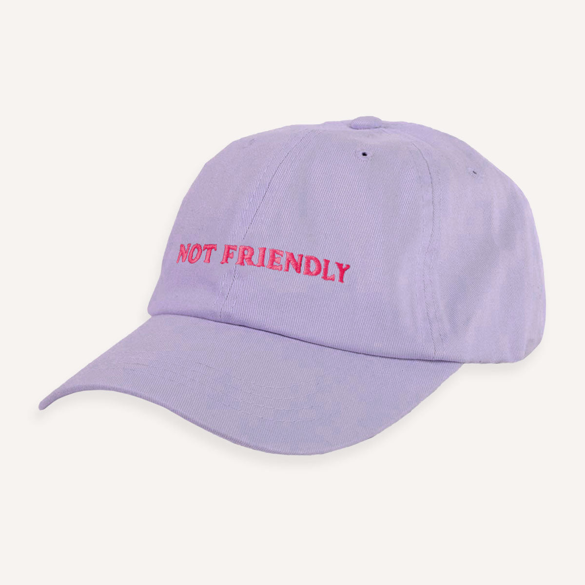 Not Friendly Slogan Cap